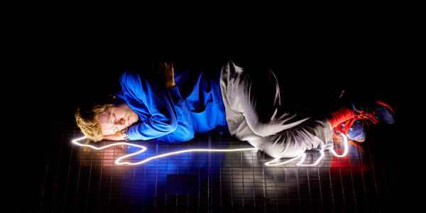 curious incident of the dog in the nighttime play review