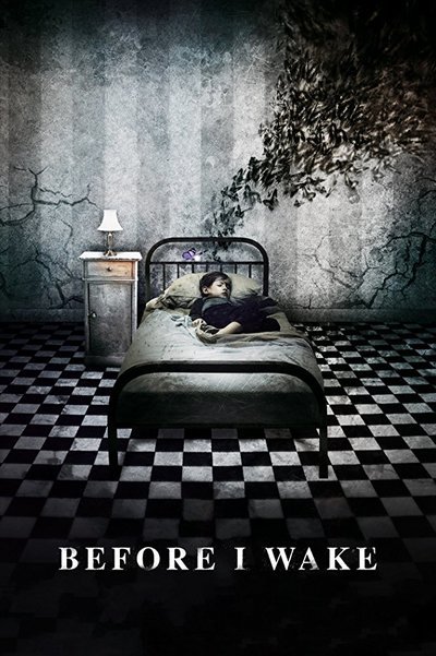before i wake book review