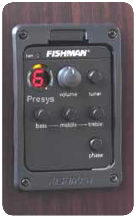 fishman prefix plus t review