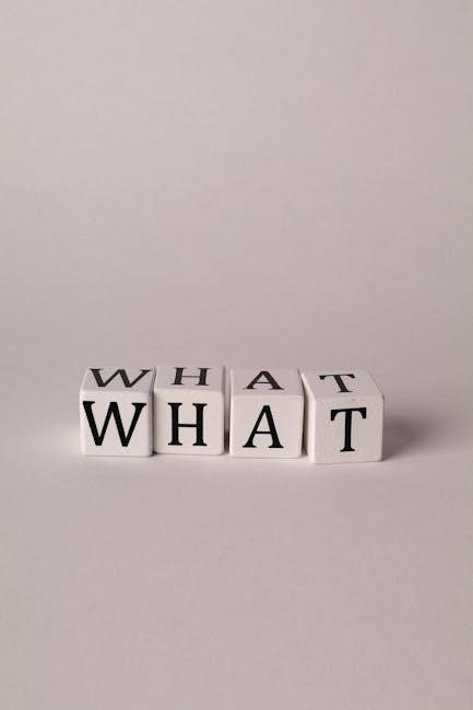 what is a guiding question