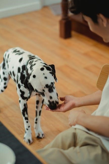 ava puppy food feeding guide ava puppy food feeding guide