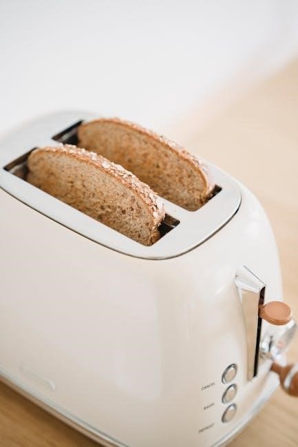 oster toaster oven manual